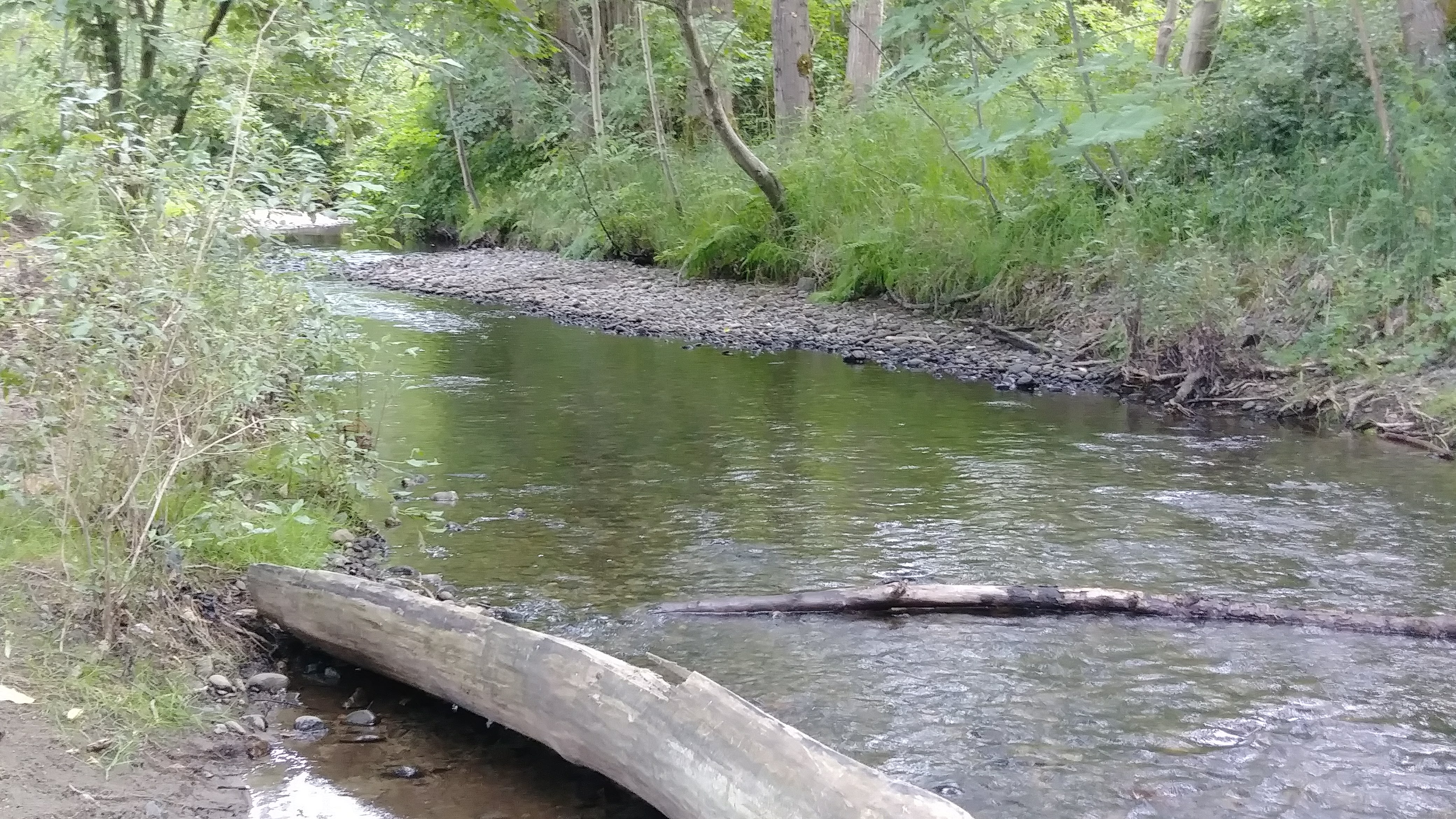 ../images/trails/may_creek_west//05 View of May Creek .jpg